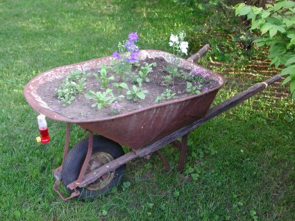 Wheelbarrow Hummingbird Garden